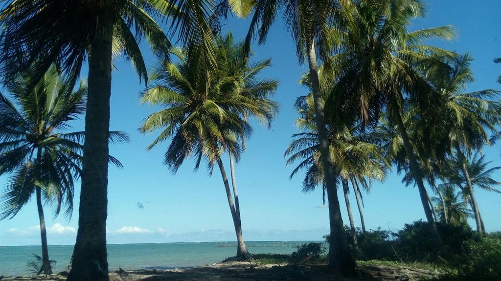 Pousada Vale Encantado Sao Miguel dos Milagres Ngoại thất bức ảnh