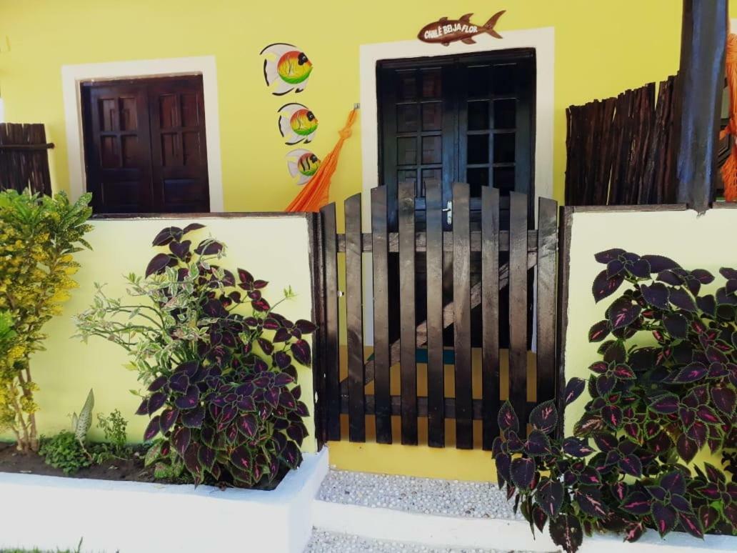 Pousada Vale Encantado Sao Miguel dos Milagres Ngoại thất bức ảnh