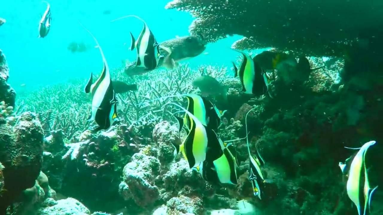 Pousada Vale Encantado Sao Miguel dos Milagres Ngoại thất bức ảnh